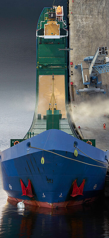 A large cargo ship is docked at an industrial port in what seems like a scene from a Santander warped world. Vehicles and machinery are actively loading or unloading goods, while a crane lifts materials. Amidst the bustling workers in safety gear, a single white swan glides gracefully near the ship's bow.