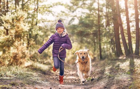 A young girl wearing a purple jacket, knit hat, and red boots is joyfully running on a forest path while holding a leash attached to a happy golden retriever. Sunlight filters through the trees, creating a warm and inviting atmosphere—like an image so perfect it could've been touched by a high-end retoucher.