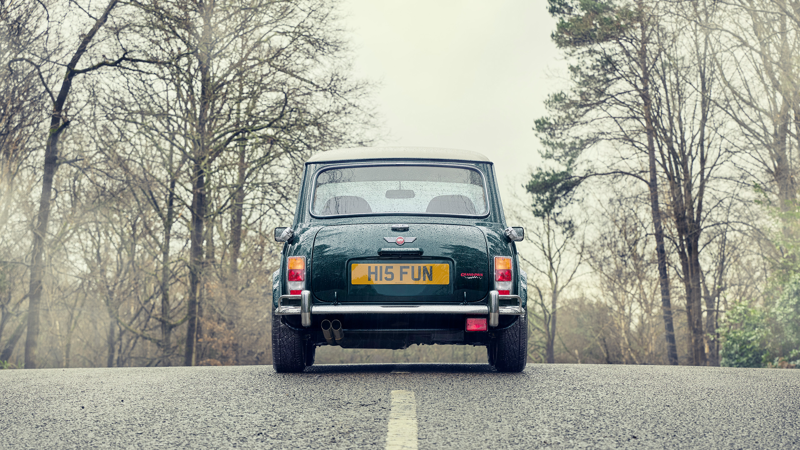 mini-cooper-grand-prix-cooper-cars-rear-static Dead rear view of a Mini Cooper Grand Prix, static on a misty woodland road.
