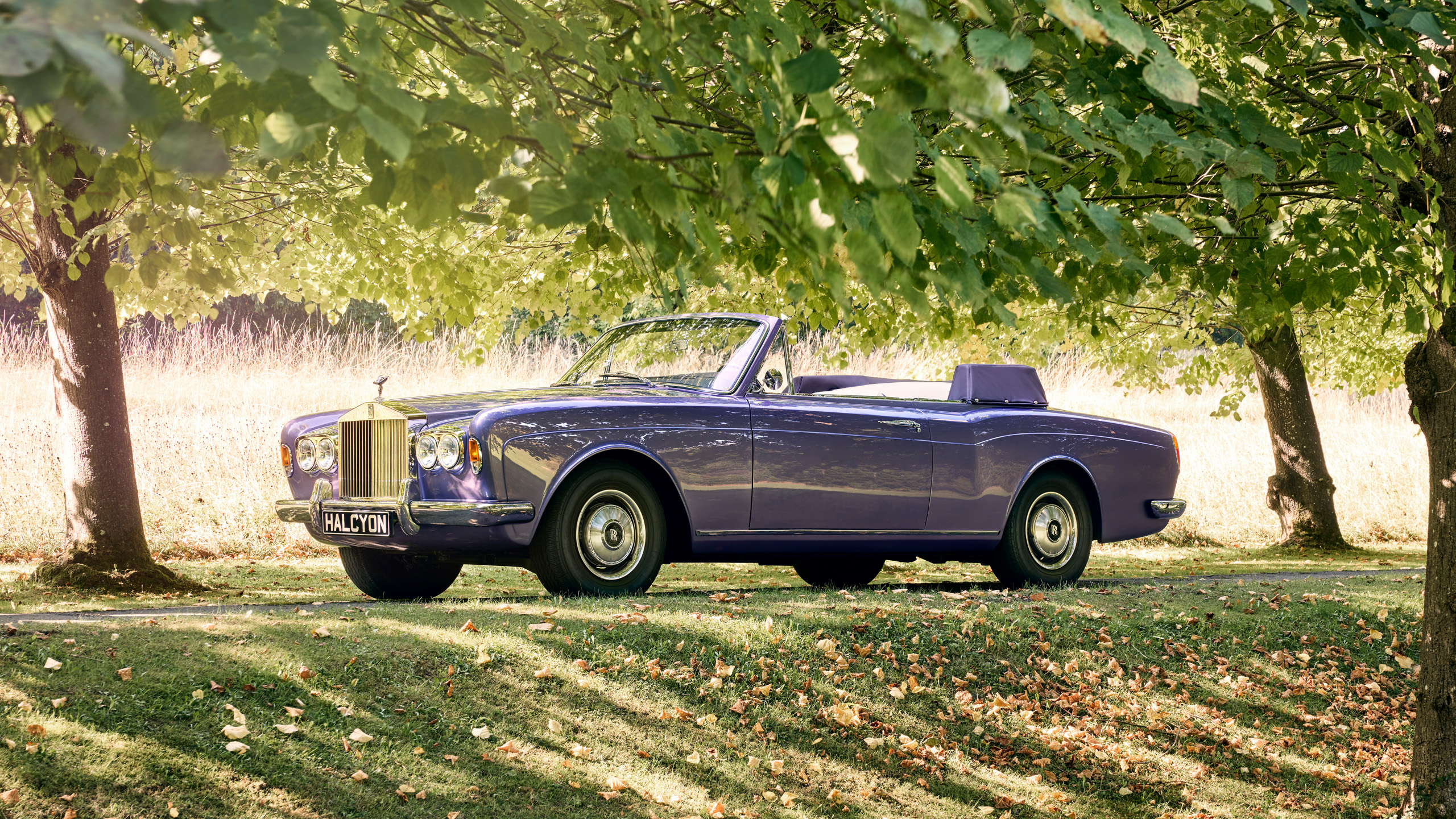 halcyon-electric-rolls-royce-corniche-front-three-quarter-tree-lined-driveway Front three-quarter view of the Halcyon electric Rolls-Royce Corniche parked beneath trees on a tree-lined driveway scattered with autumn leaves.