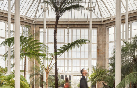 Two people walk inside a bright glass conservatory with tall palm trees and lush green plants. The structure features large windows and a geometric glass ceiling, letting in abundant natural light.